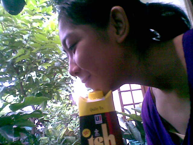 teh kotak 1