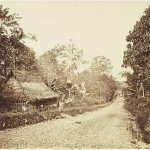 Jalan Raya Puncak Daerah Gadok ke Cipanas Jalan Raya Puncak Daerah Gadok ke Cipanas