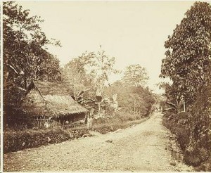 Jalan Raya Puncak Daerah Gadok ke Cipanas