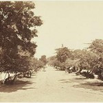 Jalan Pecenongan Jalan Pecenongan